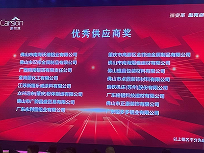 Aluminum Veneer Curtain Wall for Carsion